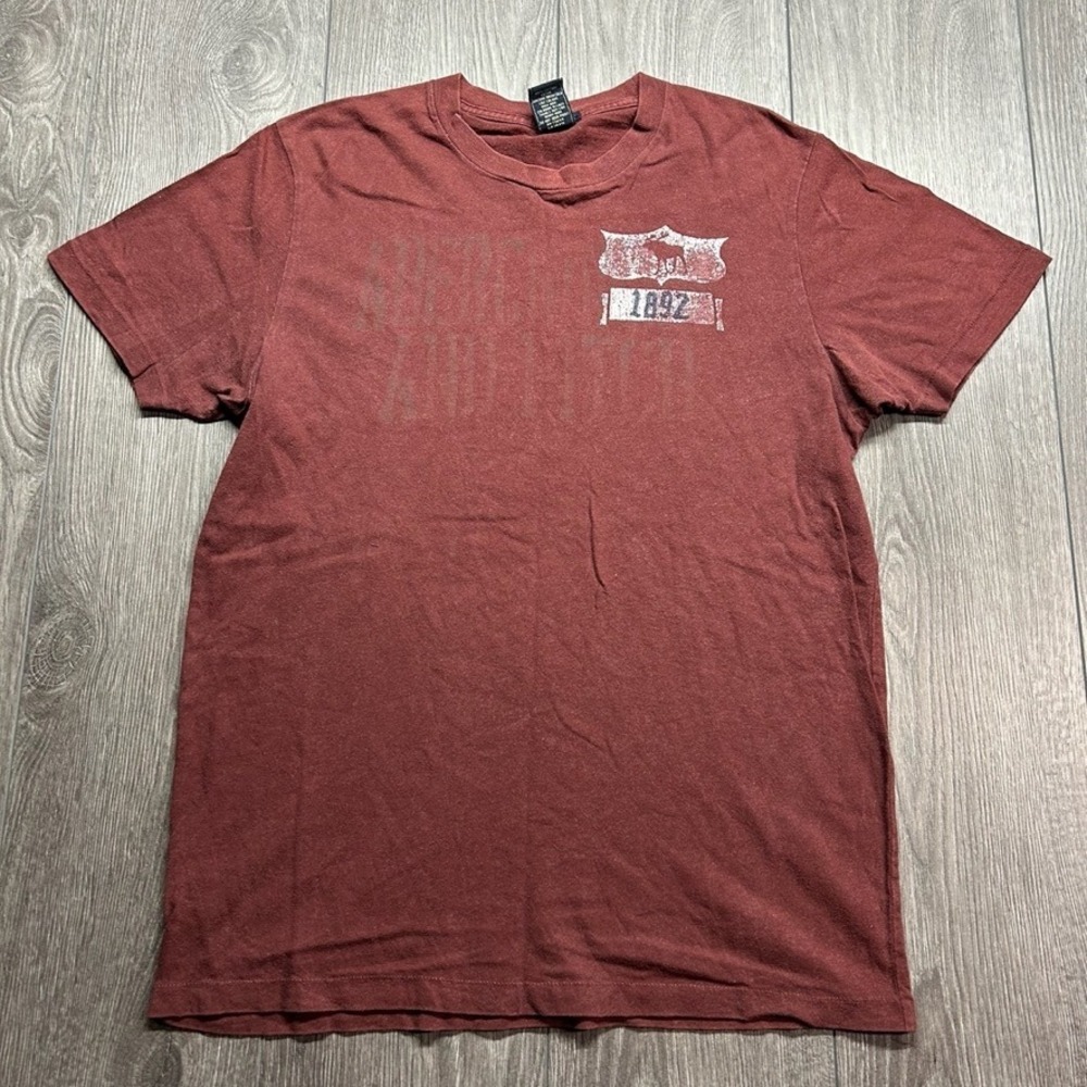 Abercrombie & Fitch Mens Muscle Fit Graphic T-Shirt Burgundy Maroon Y2K Large